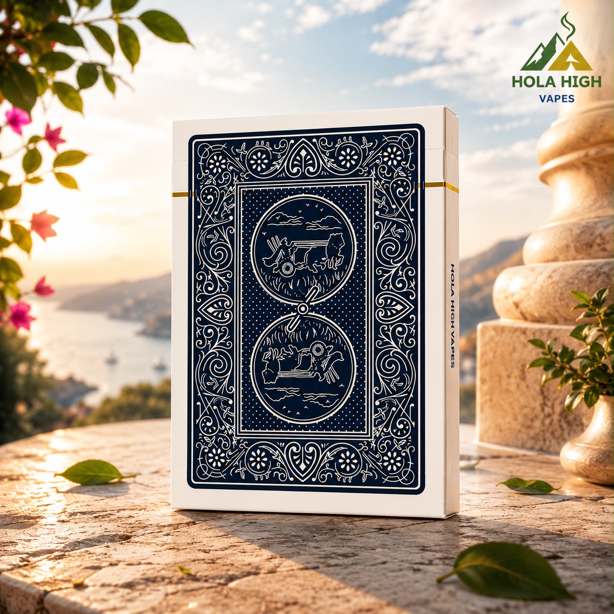 Binwang Classic Playing Cards - Premium Poker Size Deck for Card Games