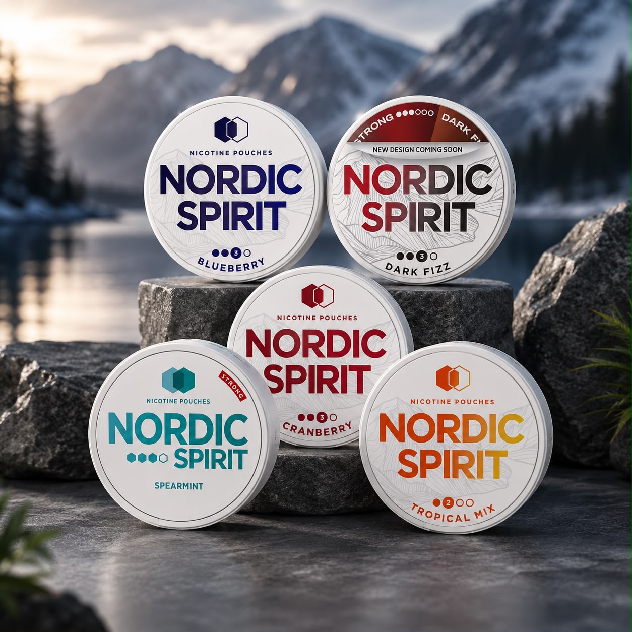 Nordic Spirit Nicotine Pouches, Pack Of 5 Cans